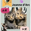 TreGattiy Marche vol.3 Jeanne d'Arcさんの愛猫さん