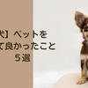 【愛犬】ペットをお迎えして良かったこと５選