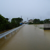 浜ちゃん日記     短時間の集中豪雨と抜本的対処