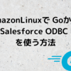 AmazonLinux 上の Golangで CData Salesforce ODBC Driver を使う方法