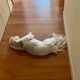 暑いから帰ろうー