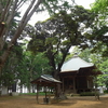 羽成観音 と 厳島神社 （つくば市）