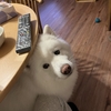 見張り