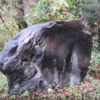 万葉歌碑を訪ねて（その１３５０）―小矢部市蓮沼　万葉公園（源平ライン）（５表）―万葉集　巻十七　三九四七