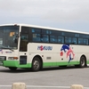 北部観光バス / 沖縄230あ 1004