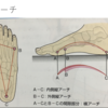 足のアーチを作る足指トレーニングについて！【筋肉を鍛えて足の変形を予防・改善】