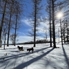 犬とスキー場で雪遊びしよう ～犬連れ旅行 in 八ヶ岳 富士見パノラマリゾート篇