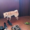 地元の友人がずっと楽しそうなことしてて羨ましい