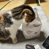 豆大福も大好物です。
