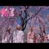 今日の動画。 - CHAI - IN PINK (feat. Mndsgn) - Official Music Video