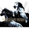 THE YELLOW MONKEY「空の青と本当の気持ち 」