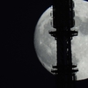 🌕満月　過去の写真です☺