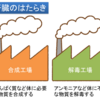 断酒生活・影響７（肝臓に与える主なダメージ）