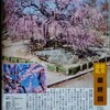 名古屋市中川区の荒子公園へ「呉服しだれ」〔くれはしだれ〕という梅を見に行った