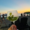【逗子海岸】もうすぐ海開き｜泳がないで楽しむ海の家