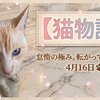 4月16日 転がってご飯へ直行 猫に人気のとろリッチで贅沢おやつタイム