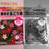 ①星形の花　「るこう草」をプランターで育ててみました♪～種まきから発芽～