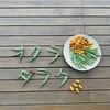 天井張り、施工中なり
