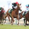 競馬初心者必見☆馬券予想🔥〜ファルコンステークス〜1番人気が不調なレース、今年も波乱か！？〜