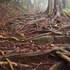 出会った橋ー熊野古道/伊勢路・中辺路-２