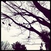 『18年目の宴』