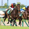 競馬初心者必見☆馬券予想🔥〜鳴尾記念〜下位人気に付け入る隙はなさそう！？