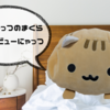 千葉のゆるきゃら・ぴーにゃっつの一押しグッズは枕だ！