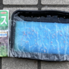 室内栽培12　【サンチュ播く】