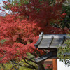 晩秋の京都東山界隈その２