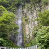 石徹白の大杉と吉田川の踊る水