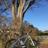 自転車ライドできた週末！