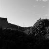 X half フィルムカメラモードを試す8 ‐「ACROS（アクロス）」編