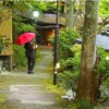 雨の休日