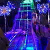 パリ 夏の夜のチュイルリー公園を一人で散歩