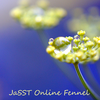 JaSST Online Fennelに質問者参加した、その後