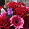 DAILY　FLOWERS  !!