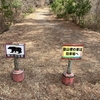 干支登山