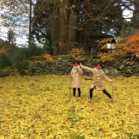 Gotoキャンペーン 子連れ 双子 東北旅行2日目 大正ロマン 銀山温泉 ポジティブ家族の記録 Gotoキャンペーン 子連れ 双子 東北旅行2日目 大正ロマン 銀山温泉 ポジティブ家族の記録