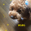 変わらずに