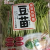 子供の食育に！豆苗再生栽培☆