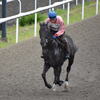 愛馬観戦記　【ヴァンタブラック　3歳上1勝クラス】