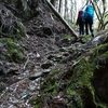 大寒の加持ヶ峰遊山　寒林