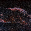 網状星雲西側（NGC6960魔女のほうき星雲とNGC6974）