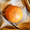 次世代の柑橘「美娘(みこ)」とは？オレンジとみかんを掛け合わせた天草オレンジのブランド果実