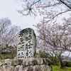 桜と四王寺山脈トレッキング：美しい春の出会い【太宰府】