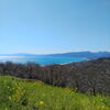 吾妻山公園と春の海