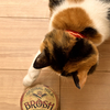 猫とポマード　BROSH　色っぽい香り！