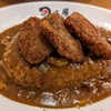 カレーの視察にいきました🍛