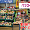 【株式銘柄徹底分析】イオン AEON（8267）～流通大手 総合スーパー トップバリュ 金融 ディベロッパー 株主優待～