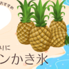 【お家かき氷日8】 生パインのかき氷とソフトクリーム【マスカットみつ】